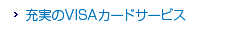 �[����VISA�J�[�h�T�[�r�X