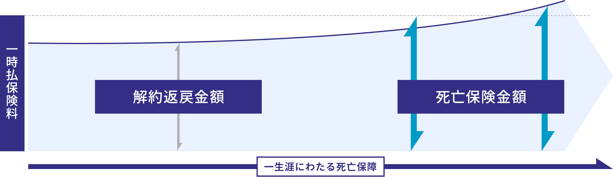 一時払終身保険（定額）のイメージ図