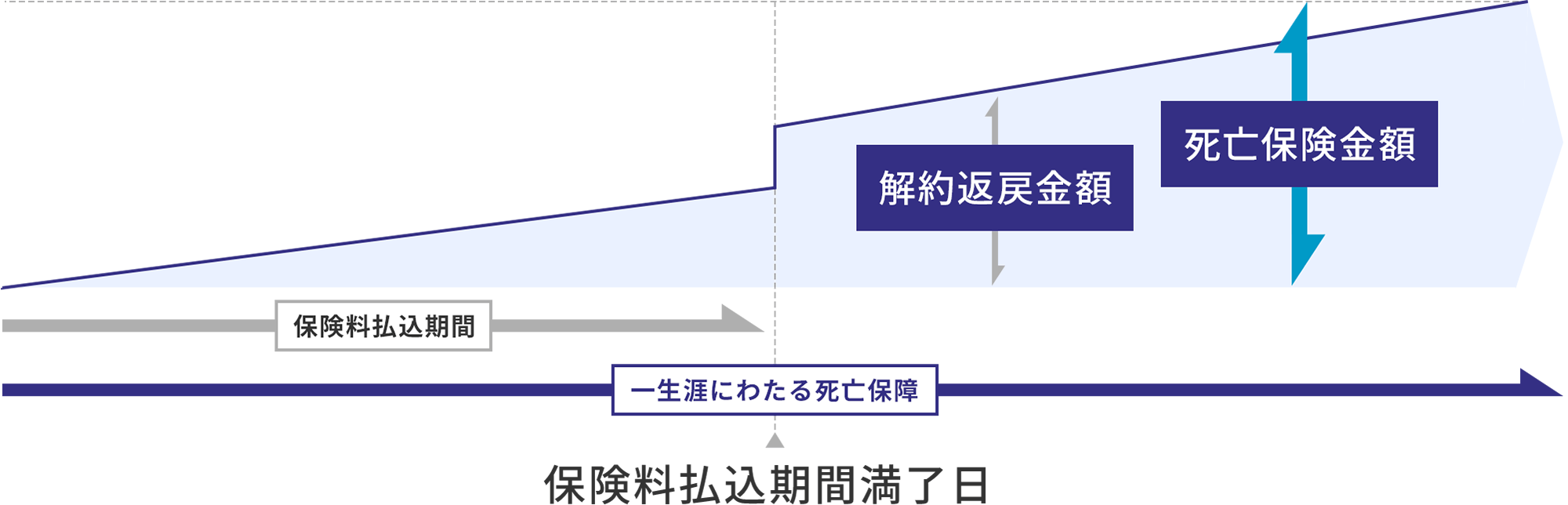 平準払終身保険のイメージ図