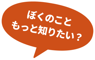 ぼくのこともっと知りたい？